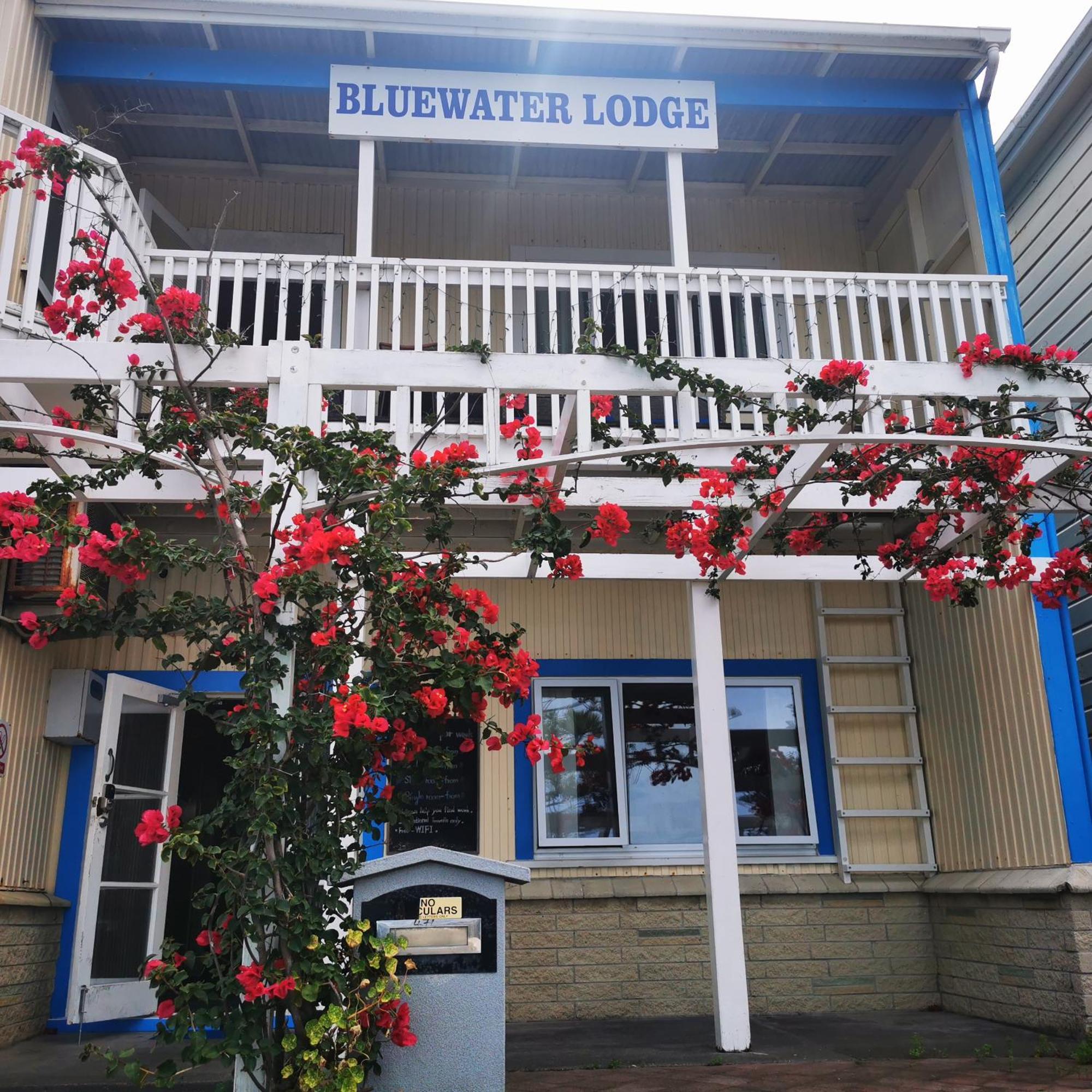 Bluewater Lodge Napier Extérieur photo